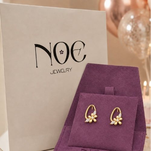 NOE