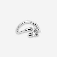 Renewal Ring